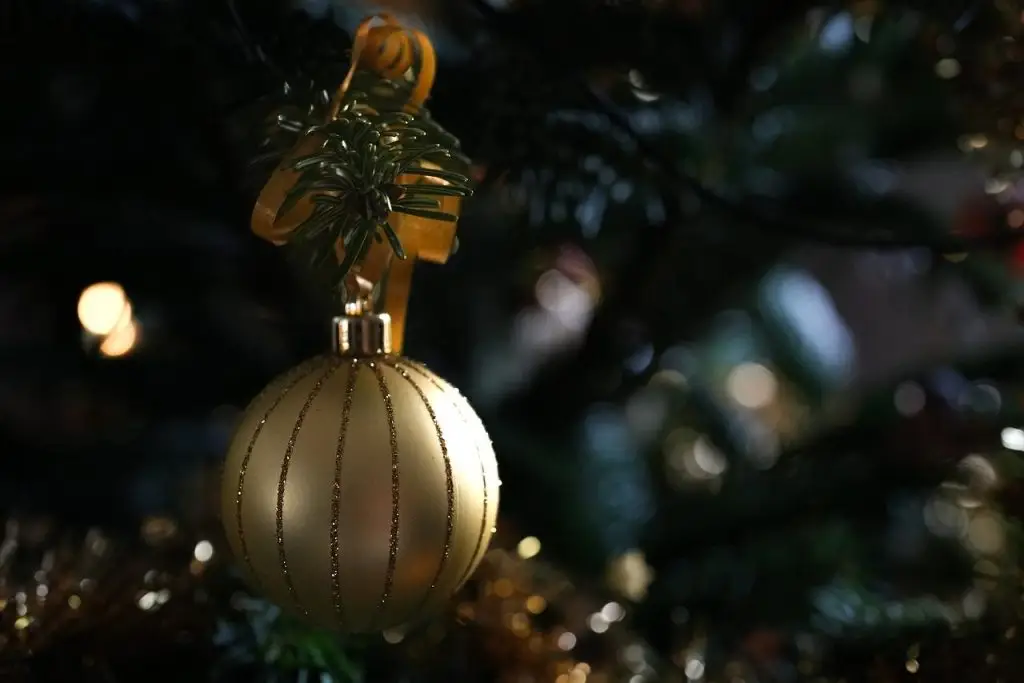 De Perfecte Kerstboom in Ede – Wageningen
