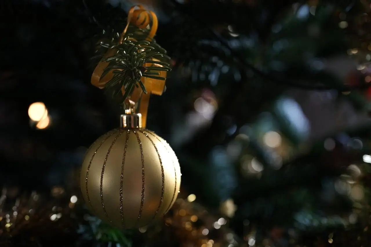 De Perfecte Kerstboom in Ede – Wageningen